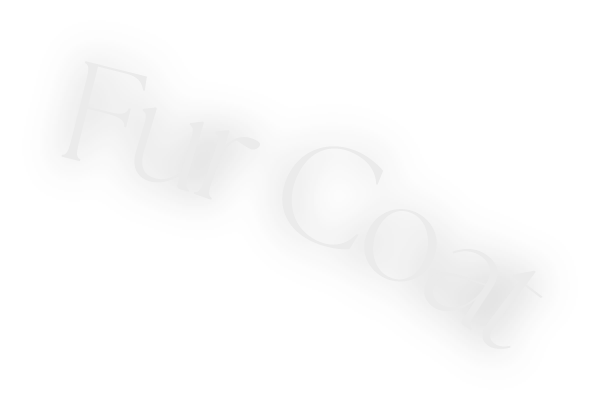 Fur Coat